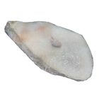 大比目魚(無肚洞) | 300g