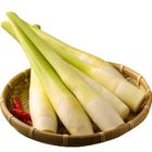 嚴選筊白筍 300g