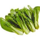 青江菜(產銷履歷) 250g
