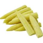 玉米筍(產銷履歷)(非基因改造) 100g