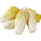 翠玉娃娃菜 200g