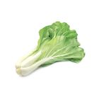 有機小白菜 | 250 g