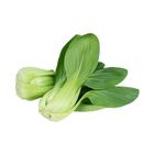 有機青江菜 | 250 g
