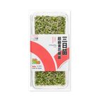 綠藤-三日苗.超級青花椰苗 | 50 g