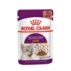Royal Canin 法國 皇家 STW饗宴主食濕糧 - 豐富鮮味 85g #9003579018866
