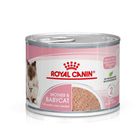 Royal Canin 法國皇家 BC34W皇家離乳貓與母貓專用濕糧 195g #9003579311660