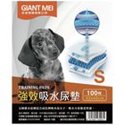 GIANT MEI 強效吸水尿墊 - S 100 枚 #6971600432031