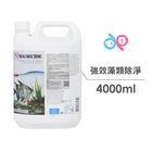 DP 強效藻類除淨劑 3DP-05400 | 4000 ml