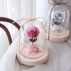 小王子永生花小夜燈/豆沙粉 | 1 入