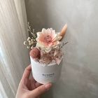粉色小太陽擴香小盆花 | 1 入