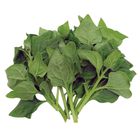 菠菜 250g #1063957