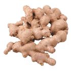 履歷乾薑 300g #1164961