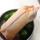 太空鴨 | 約 2000 g x 1 隻 #大眾  雞鴨商行-19號攤
