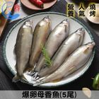 佐佐鮮 爆卵母香魚5尾-冷凍 | 500 g