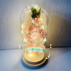 LED暖光粉色浪漫玻璃罩 #98 1束