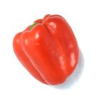 紅彩椒-常溫 250±50g #仁愛街360號蔬菜攤