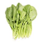菠菜-常溫 120±50g #仁愛街360號蔬菜攤