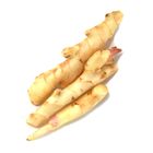 嫩薑一根-常溫 75±20g #仁愛街360號蔬菜攤