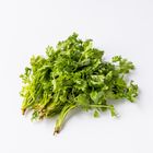 香菜-常溫 50g #仁愛街360號蔬菜攤