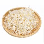 豆芽-常溫 250±10g #仁愛街360號蔬菜攤