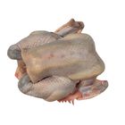 山雞(母)-冷藏 1000-1500g #89-90攤阿燕生鮮雞肉/滷味