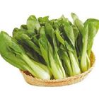 青江白菜 250g