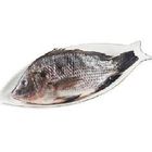 Large Tilapia 430g