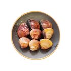 無沙蛤(大顆)-冷藏 500±20g #B1-37盧記水產