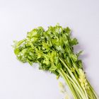 芹菜 300±20%g #B1-56農林蔬果