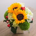 夏日陽光桌花 1入