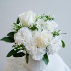 白雪可愛盆花 1入