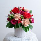 真摯純紅盆花 1入