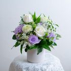 春水白紫盆花 1入
