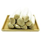 杏鮑菇 B級 | 1 kg