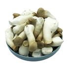   杏鮑菇 C級 | 1 kg