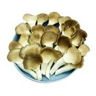 秀珍菇 | 300 g