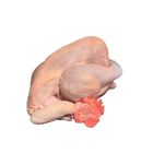 紅羽公雞-冷藏 2000-2700g #89-90攤阿燕生鮮雞肉/滷味
