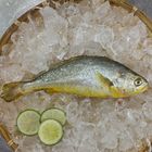 現流鮮凍黃魚-冷凍 | 350-400 g #四海海產-34號攤