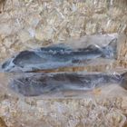 雪山急凍爆卵母香魚(2尾)-冷凍 | 200-250 g #四海海產-34號攤