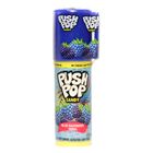 Push Pop Fruit Flavour Candy 14g