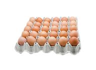 Egg Size L 30 Pieces