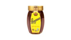 Langnese Pure Bee Honey 250g