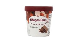 Haagen Dazs Chocolate Ice Cream 392g