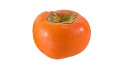 Essence Japanese Persimmon M 1 Piece