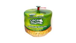 Thailand Coco Thumb Organic Nam Hom Coconut 1 piece