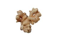 â–ŒGinger 100gâ–Œ