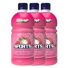 (Buy 3 Pieces Combo Chilled) Bruvana Sports+ Electrolyte Beverage Lychee 500ml