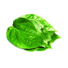 Rajshahi Paan 10 Pieces