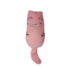 Cartoon Catnip Pillow Catnip Toys For Cat Pink 1 Piece