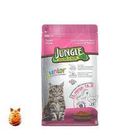 Jungle Junior Cat Food Chicken 2 12 Month 500g
